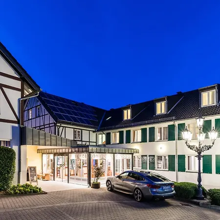 Waldhotel Eskeshof 酒店 4*